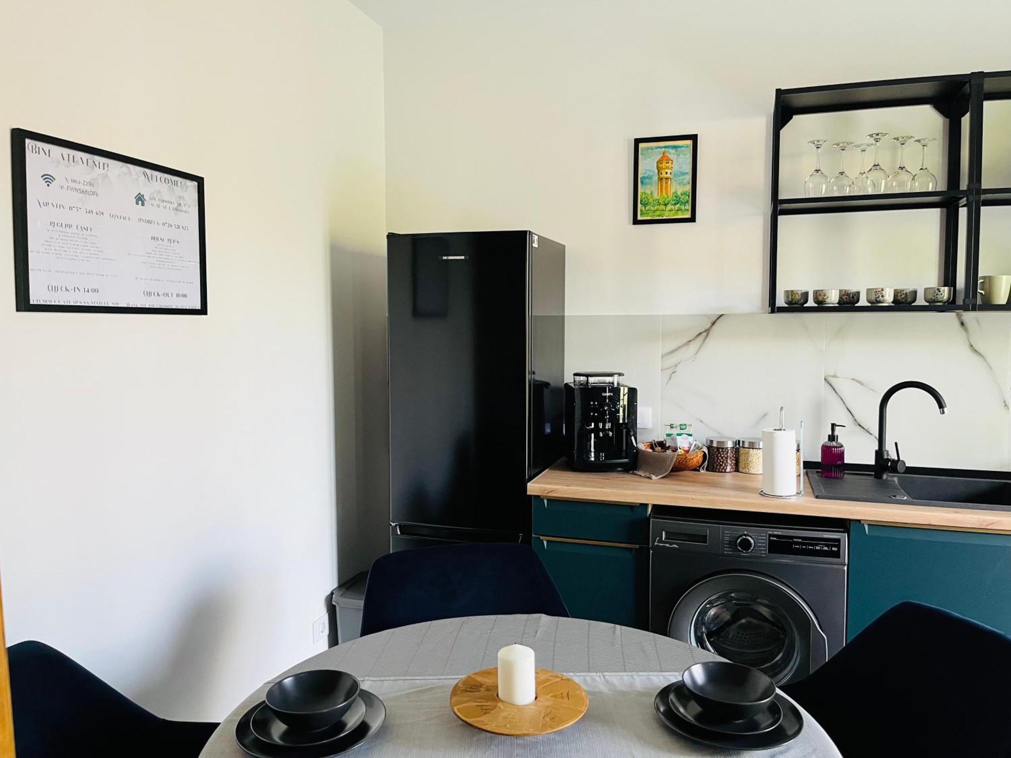 Apartament Studio Bian Тимишоара Экстерьер фото